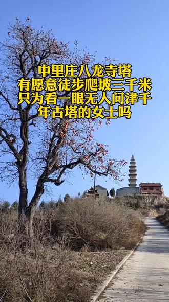 八龙寺塔位于荣河镇中里庄村东峨眉岭会稽山上,是全国第7批国保单位,八龙寺塔建于1012年,相传宋真宗去汾阴祭司后土祠路过此地,望见这个会稽山上云雾缭绕,有八龙垂象之势,认为是祥瑞之兆,便下旨修建了一座寺院,名为八龙寺,可惜的是现在这个寺庙已不存在,仅留一砖塔,现在大佛殿,钟楼,鼓楼,都是近年集资修建的,塔坐北朝南,高是24.9米,底层边长是3.65米,它的南面1到5层都有都有砖券拱门,东西北面在三四层,有砖券拱门,八龙寺塔建造年代可考,造型挺拔秀丽,对研究本地区北宋时期砖塔发展与演变具有一定的历史价值。#中里庄八龙寺塔 #无人问津千年古塔#带你看古迹@抖音热点宝 @抖音创作者大会