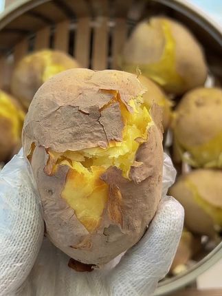 旱沙地粗麻皮黄心土豆,优质农产品#助力三农