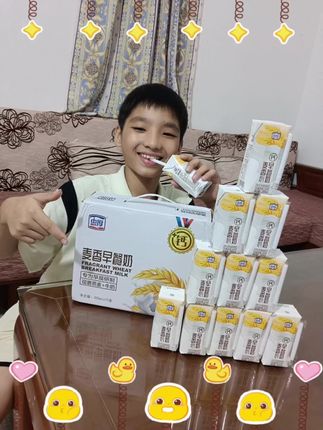 忠厚麦香早餐奶🥛🥛🥛一箱12瓶x 200ml 超划算😍😍😍👏👏👏#这就是生活本来的样子 #生活的样子 #可爱萌娃 #这就是生活的样子 #生活的模样