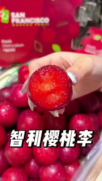 #樱桃🍒 来自智利进口的樱桃李,比樱桃车厘子真的好吃太多,巨脆巨甜巨好吃😋,没吃过的一定要安排起来尝尝!#樱桃李 #新鲜应季水果 #智利樱桃李