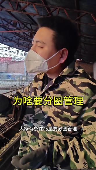 养繁殖母羊为啥要分圈管理?至少跟成本投入有关系,还有一点跟收入有关系#养羊人 #牛羊养殖 #新农人计划2026