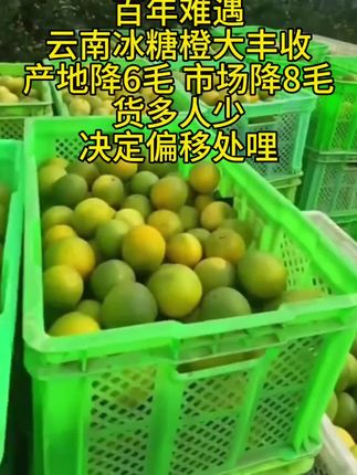 #冰糖橙 #橙子 #新鲜采摘 #优质农产品 #抖音助农 @巨量千川