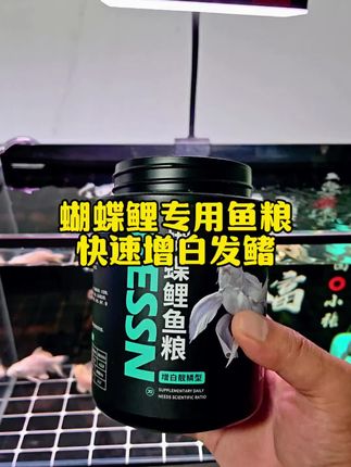 贝森蝴蝶鲤专用鱼粮 #蝴蝶鲤鱼粮 #蝴蝶鲤专用鱼粮 #高蛋白鱼粮 #上浮鱼粮