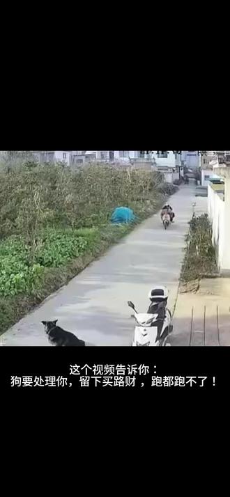 电动车新国标为什么限速25码?这个视频告诉你答案。#交通安全 #新国标电动车 #电动车 #新国标
