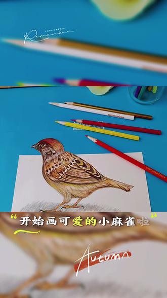 画只小鸟 闲暇时光的小喜悦。