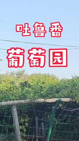 #大美新疆行##咏梅小院#原创作品抖音 #