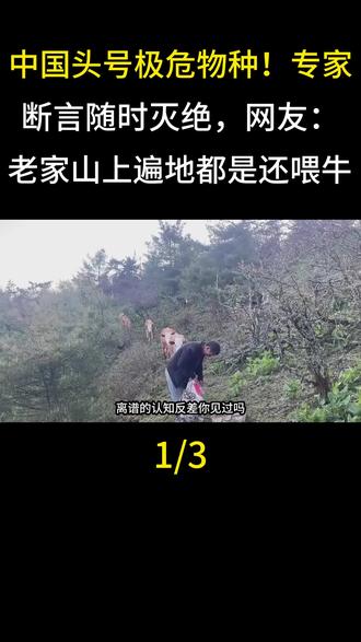  中国头号极危物种!专家断言随时灭绝,网友:老家山上遍地都是还喂牛#科普#动物科普#真实事件#植物科普