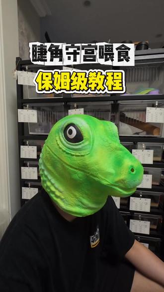 睫角守宫新手饲养教程 手把手教你从开食到成体喂养详细饲养指南
#爬宠饲养员 #睫角守宫 #睫角守宫饲养 #守宫