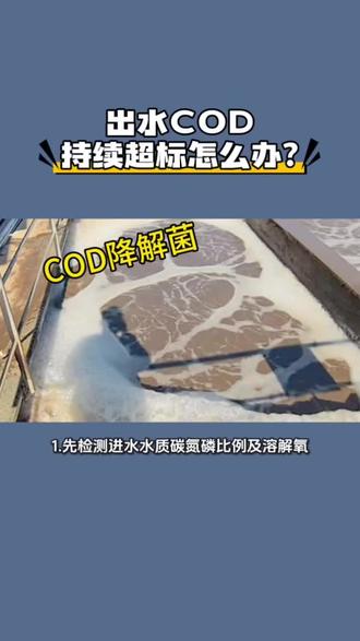 COD超标不用慌!降解菌+调参数,7天稳达标!#COD降解菌 #COD超标#水处理药剂#污水处理