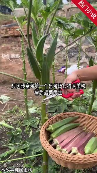 高考后,我第一个冲出考场