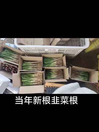 打包发货#三农 #新农人计划