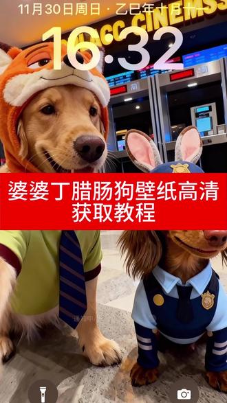 #婆婆丁腊肠狗壁纸 婆婆丁腊肠狗壁纸高清 婆婆丁腊肠狗壁纸免费#即梦ai #婆婆丁腊肠狗壁纸免费取图 婆婆丁腊肠狗壁纸取图入口 婆婆丁腊肠狗壁纸获取入口 婆婆丁腊肠狗壁纸免费获取入口 婆婆丁腊肠狗壁纸获取教程 婆婆丁腊肠狗壁纸自取入口 #婆婆丁腊肠狗壁纸原图 婆婆丁腊肠狗壁纸高清原图 婆婆丁腊肠狗壁纸下载入口 婆婆丁腊肠狗壁纸高清下载入口 婆婆丁腊肠狗壁纸4k高清 婆婆丁腊肠狗壁纸领取入口 婆婆丁腊肠狗壁纸免费领取入口 婆婆丁腊肠狗手机壁纸 婆婆丁腊肠狗手机壁纸获取入口 婆婆丁腊肠狗手机壁纸领取入口 婆婆丁腊肠狗手机壁纸免费领取 婆婆丁腊肠狗壁纸手机壁纸 婆婆丁大王财神酱 疯狂动物城教程狗 疯狂动物城教程狗壁纸 疯狂动物城教程狗壁纸获取 疯狂动物城狗狗壁纸 疯狂动物城狗狗壁纸自取入口 疯狂动物城狗狗壁纸领取入口 疯狂动物城狗狗壁纸原图 疯狂动物城狗狗壁纸4k高清 尼克和朱迪狗狗壁纸 疯狂动物城兔子壁纸 婆婆丁腊肠狗图片 婆婆丁腊肠狗图片高清原图 婆婆丁腊肠狗动图壁纸 婆婆丁腊肠狗壁纸获取入口 婆婆丁腊肠狗电脑壁纸 婆婆丁腊肠狗微信 腊肠狗壁纸锁屏和桌面一套 婆婆丁壁纸原图 婆婆丁腊肠狗壁纸锁屏 腊肠狗可爱壁纸分享 婆婆丁可爱壁纸推荐 疯狂动物城婆婆丁腊肠狗壁纸 疯狂动物城腊肠狗锁屏壁纸 尼克腊肠狗壁纸 腊肠狗壁纸iPhone专用 婆婆丁大王壁纸高清图 婆婆丁腊肠狗壁纸锁屏壁纸 疯狂动物城婆婆丁腊肠狗手机壁纸 婆婆丁壁纸疯狂动物城 腊肠狗卡通壁纸 腊肠犬高清壁纸 #疯狂动物城尼克和朱迪腊肠狗壁纸