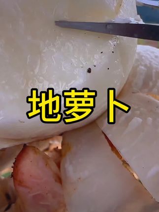 贵州地萝卜吃得了,皮薄肉厚,脆甜多汁,喜欢的老乡整点去吃 #地萝卜 #优质农产品 #地瓜