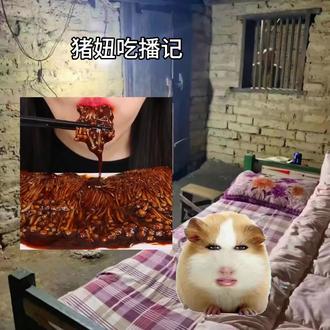 #我要火 猪妞吃播小日常