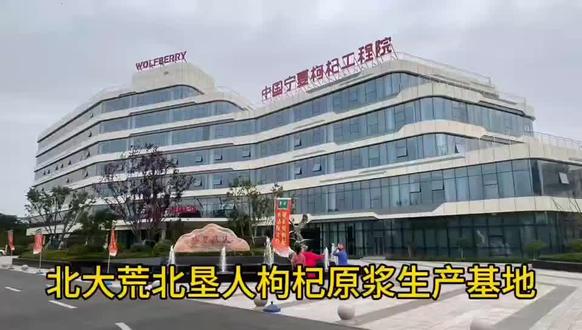 #就是我们北大荒桦语臻选北恳集团,种植的枸杞基地