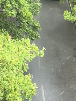 #我慢慢听雨落下的声音 #暴雨来袭