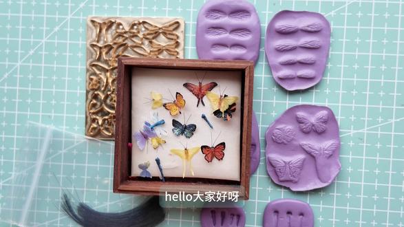 蝴蝶、蜻蜓与蛾子教程~