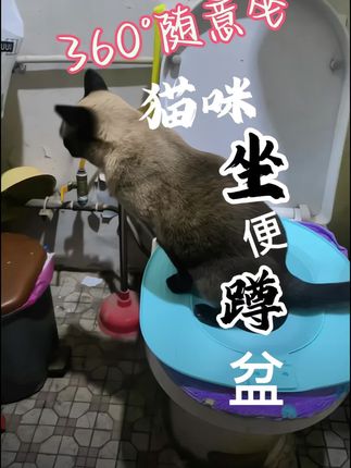 向上提可打开吸盘防滑纹理,猫咪站的更稳-新款猫咪坐便蹲盆。喜欢养猫的你值得拥有,解放双手#养猫新手 #萌宠好物 #猫咪好物种草 #训练猫咪上马桶拉臭臭