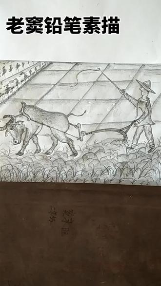 朋友们早上好#手绘原创 #艺术作品