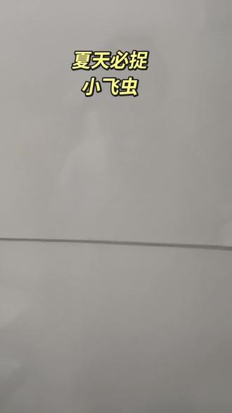 几块钱就买两个又实用又划算的捕捉小飞虫的粘球 夏天来了,家里有苍蝇蚊子小飞虫的真是太烦人了,一定要去试试这个捕捉小飞虫的粘球!尤其是住老家农村的更要去安排上老管事了!再也不担心家里的卫生问题了!高品质材质制成,对人和宠物没有任何影响!随便放在家里哪个角落都可以捉到小飞虫蚊子或者苍蝇的!#小飞虫克星 #好用不贵 #果蝇捕捉器 #夏天必备神器 #粘虫球