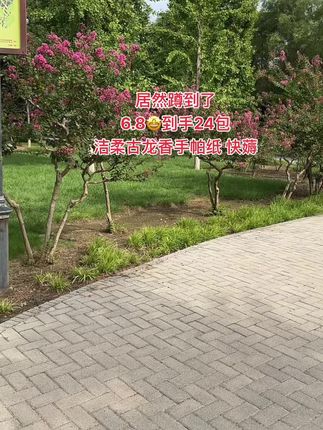 #强烈推荐 #洁柔手帕纸#手帕纸#我捡到宝了 #超便宜超划算