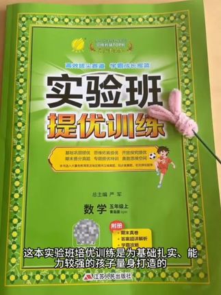 春雨教育实验班提优训练一到六年级语数英