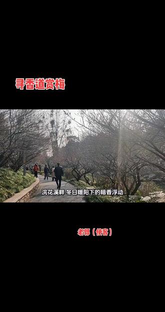 今天的光灿烂,乘着馨人的花香,徒步浣花溪公园寻香道。对古人:当年骑马锦城西,曾被梅花醉入泥,二十里路香不断,青羊宫到浣花溪。有了更深体会。