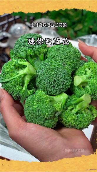 小西兰花 绿色食品【顺丰包邮】湖北新鲜小西兰花青花菜小花朵花椰菜时令蔬菜#新鲜蔬菜 #时令蔬菜 #小西兰花 #青花菜 #花椰菜