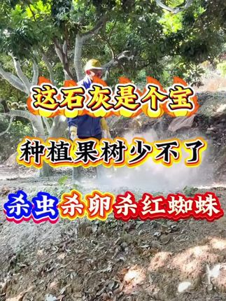 生石灰粉#增产增收 #种植小技巧 #种植 #石灰粉