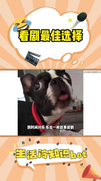 随机抽一个故事呗,万一是你喜欢的呢?#西瓜视频##西瓜视频