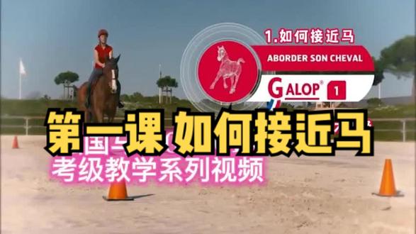 法国🇫🇷马术考级教学|Galop1级第一课如何接近马|适合儿童及成人初学马术,法国马协考级复习|字幕由启梦马术翻译制作,喜欢请双击❤️分享,横屏观看效果更佳
#法国马术学校 #儿童马术 #马术教学入门零基础 #马术教学 #启梦马术 #马术运动 #骑马#马场日常 #马术学习 #法语学习 #马场马术 #英式马术 #马术考级 #法国马术协会 #爱马
