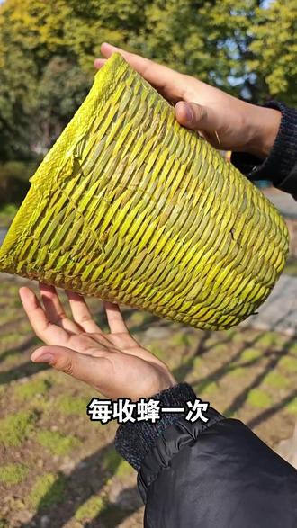 蜜蜂更喜欢的其实是竹制收蜂笼,手工编制高温煮蜡,收蜂更好用!#竹编收蜂笼 #竹制收蜂笼 #收蜂笼 #煮蜡收蜂笼