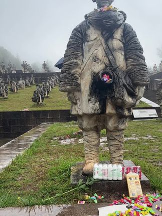 回家吧,下大雨也要来给娃娃兵同志送吃的,合糖果🙏