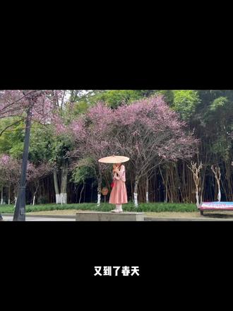 学完就出片!樱花拍照万能公式,氛围感拉满! #儿童摄影 #摄影教程 #零基础学儿童摄影 #樱花拍照 #拍摄花絮