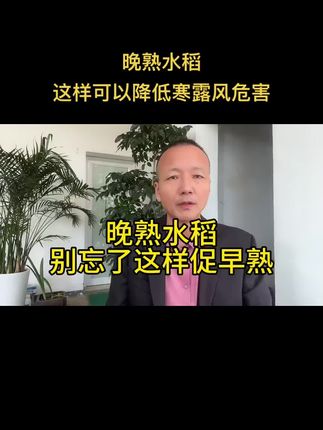 #中海聊农业 #复合酶