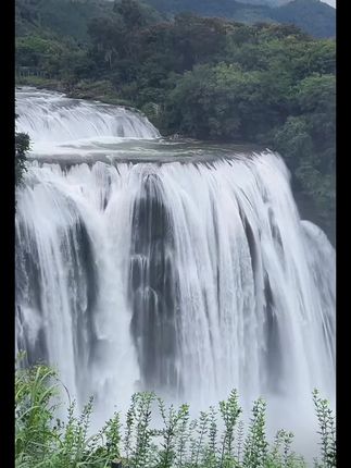 家里的马桶盖上一定要贴上这个马桶垫,它是免洗的设计,脏了用纸一擦就干净了,还是防水的材质#防水马桶垫 #免洗马桶垫 #马桶垫 #卫生间好物