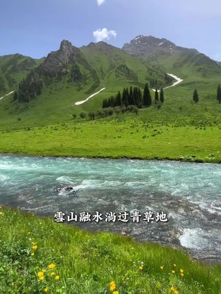 熬夜必备!天麻枸杞帮你缓解疲劳 经常熬夜加班的朋友一定要喝这个!有它真的太舒服了!!!#强烈推荐#好物推荐🔥#好喝不贵#仙女都在喝什么#植物饮料