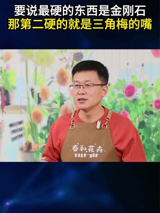 要说最硬的东西是金刚石,那第二硬的就是三角梅的嘴!#三角梅 #三角梅专用肥 #养花小知识 #花卉