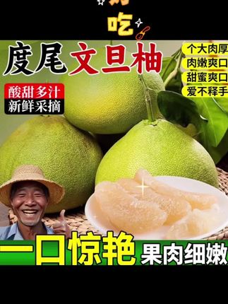 【福建度尾文旦柚子】50年老树新鲜采摘应季中秋团圆国庆送礼水果A#柚子 #柚子皮 #新鲜应季水果 #水果 #农产品