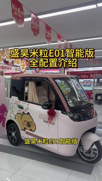 盛昊米粒E01智能版全配置介绍,来喽来喽💕#盛昊米粒E01智能版 #芜湖盛昊蓬车 #芜湖盛昊米粒E01智能版 #芜湖盛昊蓬车活动 #芜湖蓬车活动