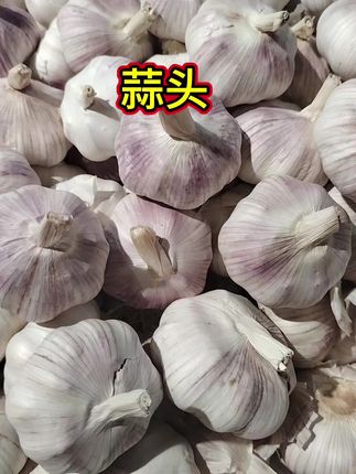 #蒜头#干蒜  辛辣提香,蒜味浓郁#个头饱满#优质农产品 #蒜