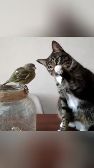 好产品 好体验 好机制 今晚直播间见~! #CLUSTER美塑仪腰带 #宝妈推荐 #懒人神器 #种草