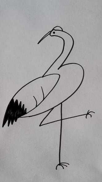 教你画丹顶鹤#丹顶鹤#简笔画