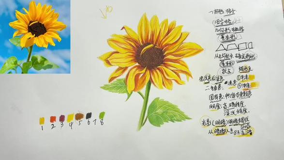 #向日葵画 #画向日葵 #向日葵画画教程 #彩铅手绘 #跟着抖音学画画 向日葵画法