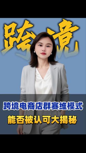 跨境电商店群赛维模式大揭秘?#会计 #老板 #财税 #跨境电商 #赛维