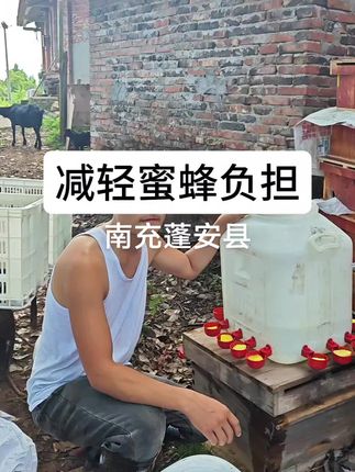 南充蓬安县,这个场地缺水,今年就用这个看看效果#蜜蜂#蜂粮#花粉