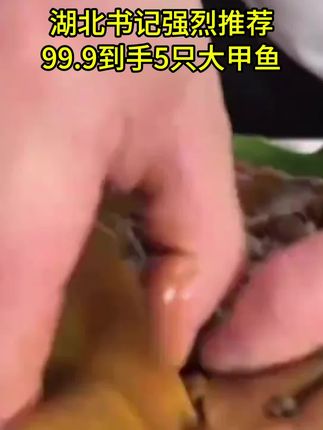 麻辣甲鱼现做现卖#强烈推荐 #太好吃了 #快来一起尝个鲜 #吃了还想吃的美食