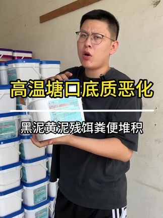 高温塘口底质恶化怎么办。#鱼虾蟹养殖 #螃蟹养殖 #小龙虾养殖 #水产养殖