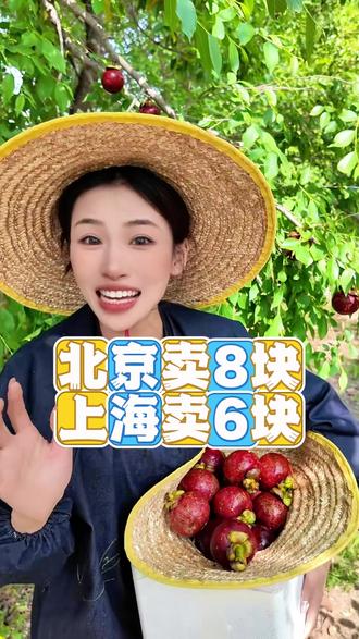 谁懂啊!新鲜山竹真的太好吃了 新鲜到货的山竹,颗颗饱满圆润,果皮轻轻一捏自带弹性,新鲜度满满。果肉像蒜瓣一样雪白透亮,肉质柔软细腻,入口绵软顺滑。咬开瞬间汁水满满,清甜口感温润不腻,果香自然浓郁。性价比合适,饭后解腻、日常解馋,全家都爱吃。#山竹 #应季水果 #泰国美食 #降价
