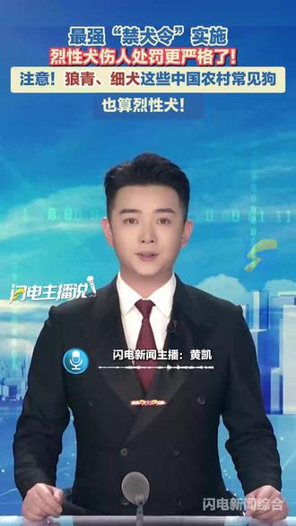 最强“禁犬令”实施,烈性犬伤人处罚更严格了!注意!狼青、细犬这些中国农村常见狗也算烈性犬!#禁犬令 #烈性犬 #处罚 #闪电主播说 #媒体精选计划